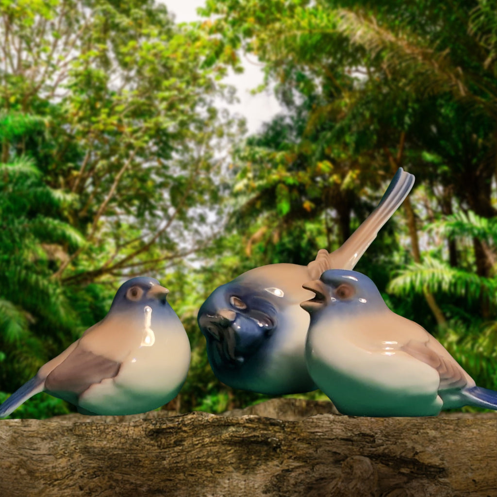 Dickie Boy con anatre e  cinciallegre