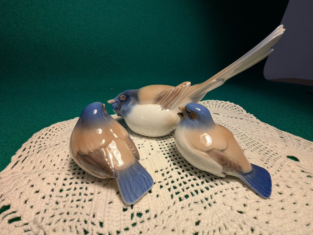 Dickie Boy con anatre e  cinciallegre