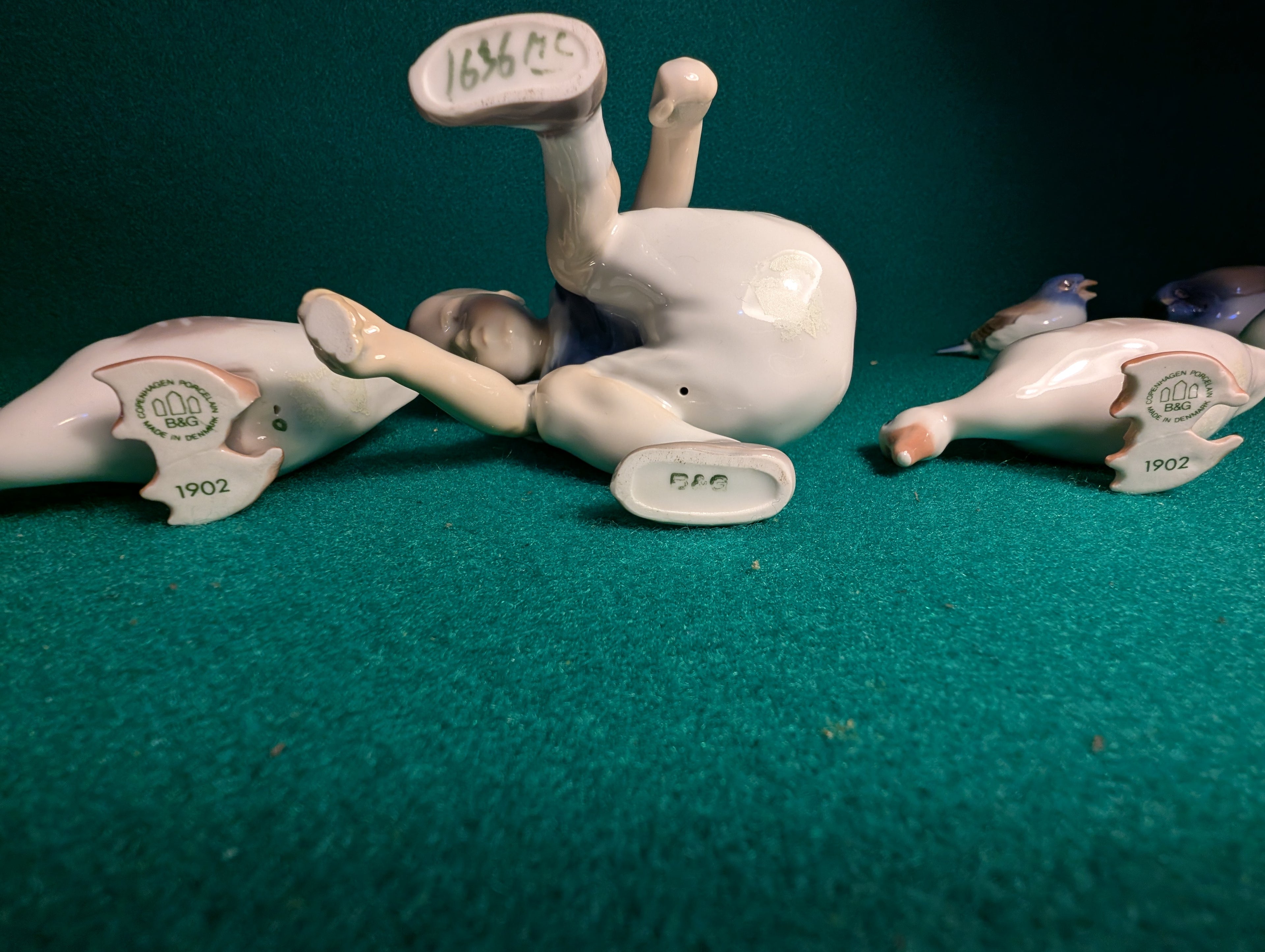 Dickie Boy con anatre e  cinciallegre