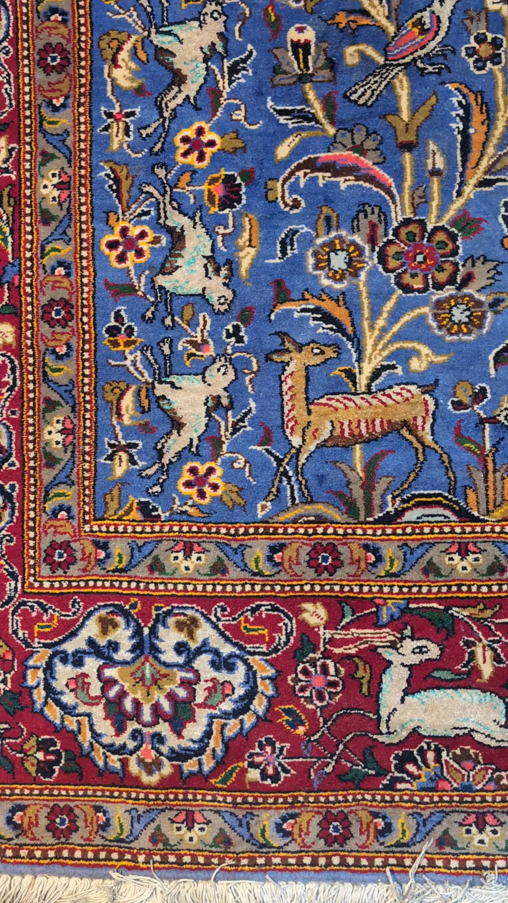 Tappeto Kashan Kork
