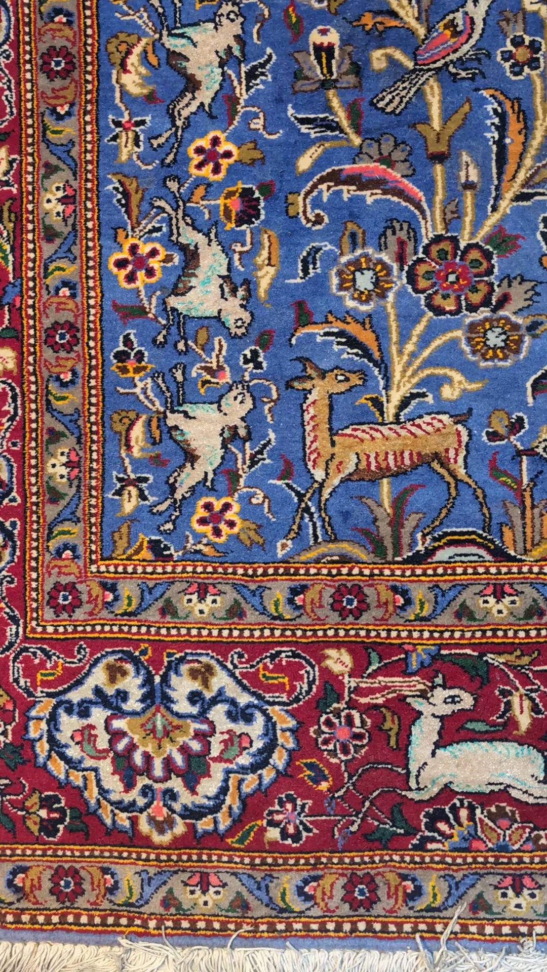 Tappeto Kashan Kork